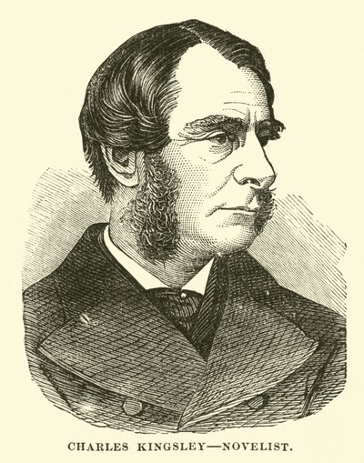 Charles Kingsley, Romanschrijver door English School